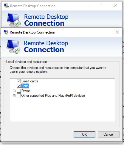 remote desktop server 2016 not mapping local drives